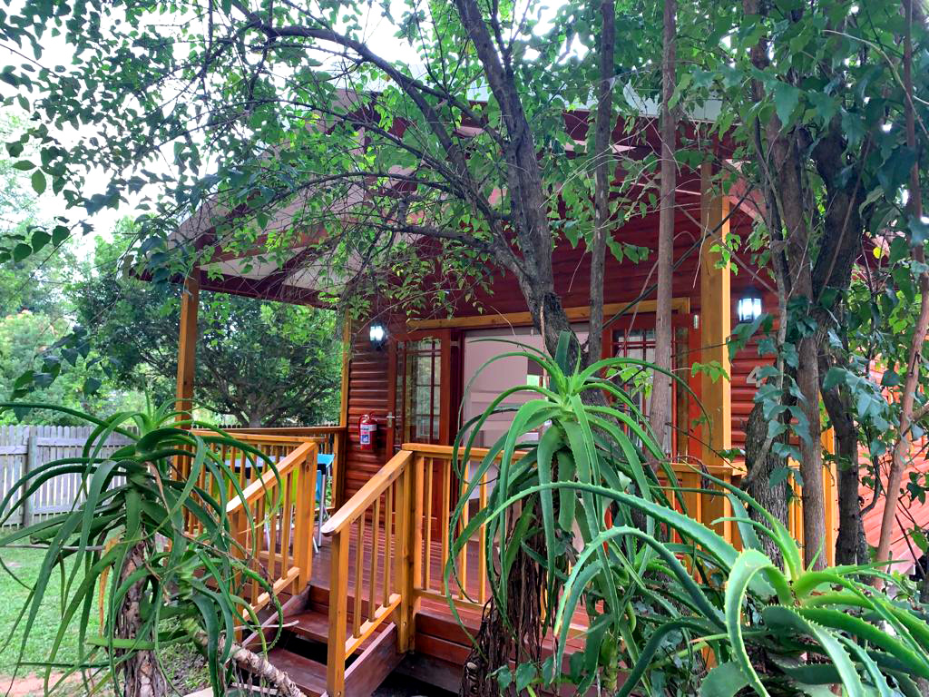 Big Tree Cottage interior