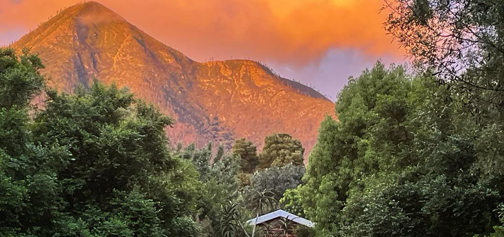 Suspension Bridge Cottage setting
